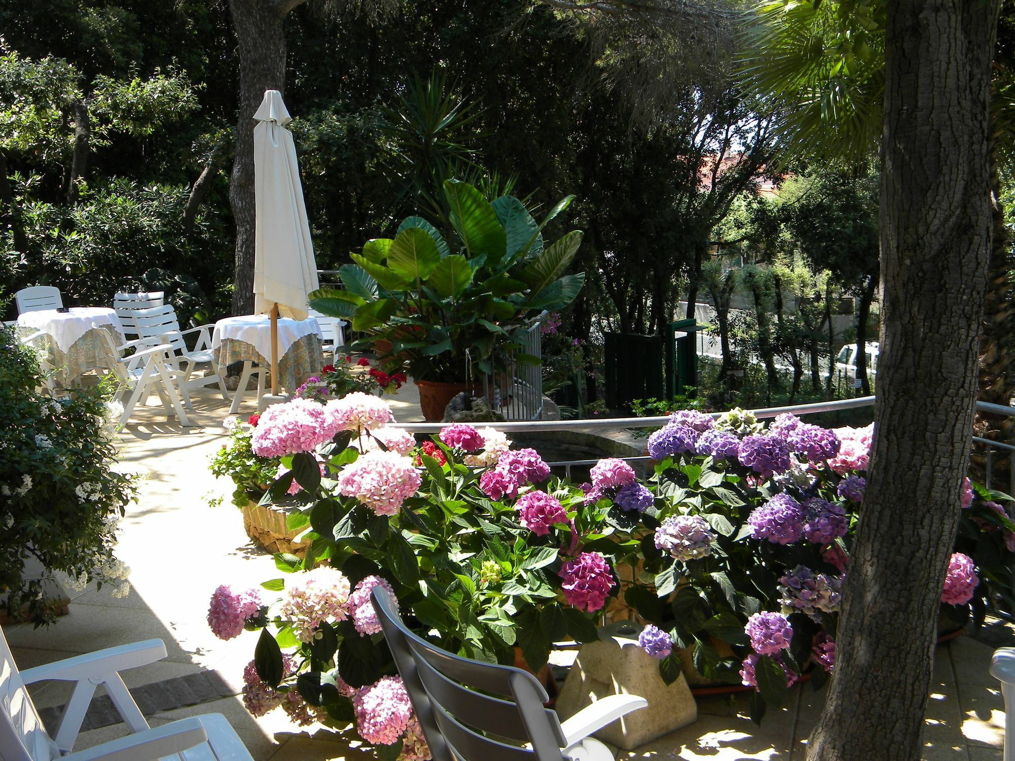 Hotel La Rosa Del Tirreno Livorno Kültér fotó